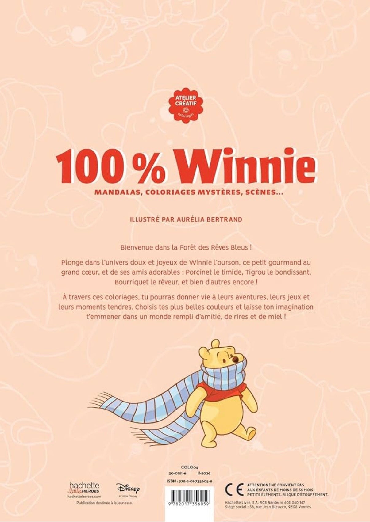 Omalovánka - 100% Winnie