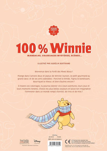 Omalovánka - 100% Winnie